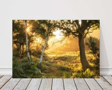 misty forest countryside. Landscape view. Canvas picture print sunrise landscape