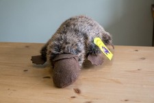 Vintage Duck Billed Platypus