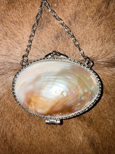 Vintage mother pearl clutch - mother, of