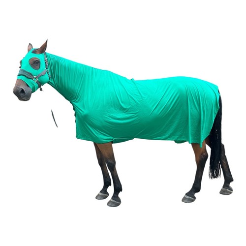 Emerald green lycra - lycra, horse