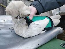 WAYERPROOF CHICKEN SADDLE | Chicken Apron | Spur Resistant | Hen Feather Protect