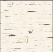 Sugartree 12 x12" 2 sheets