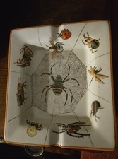 Antique / vintage Insect - bug