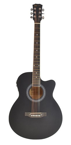Electro acoustic guitar - electro,