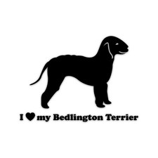 Love bedlington terrier - i, my