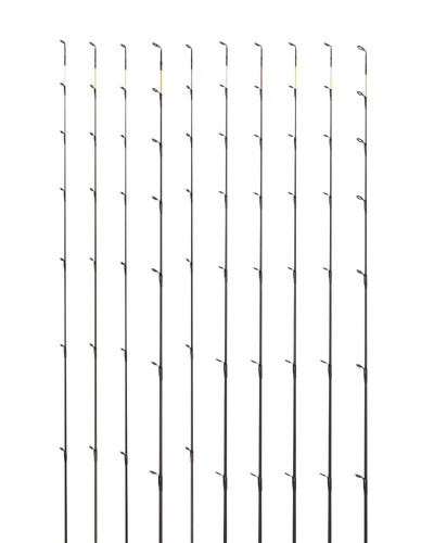 Daiwa carbon heavy - daiwa,