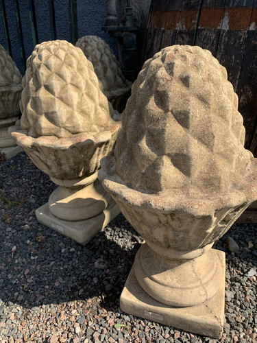 Vintage pair pineapple - vintage, of
