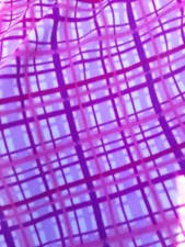 Travel Boots. Stable Wraps