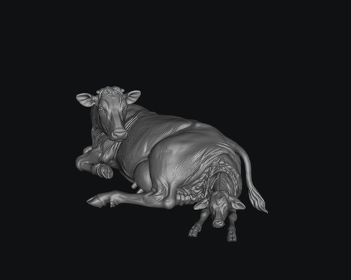 Smf9648 cow calving - cow,