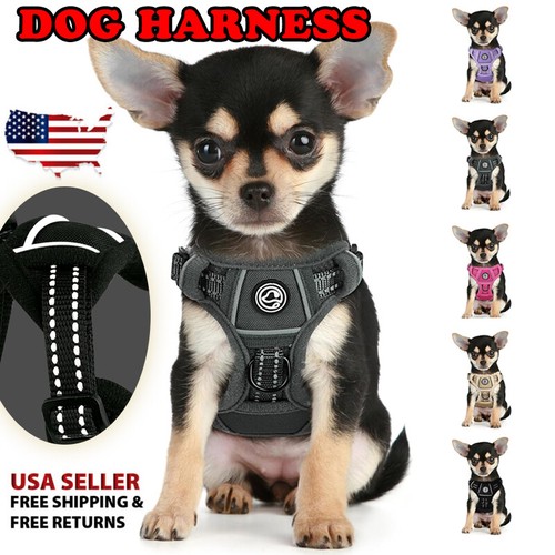 Dog harness pull pet - dog,