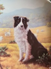 Lovely Danbury Mint Royal