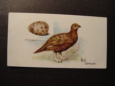 LAMBERT & BUTLER SET   BIRDS & EGGS   1906 #47 RED GROUSE GAME BIRDS WILDFOWL