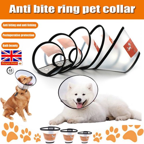 Elizabethan pet protective - elizabethan,