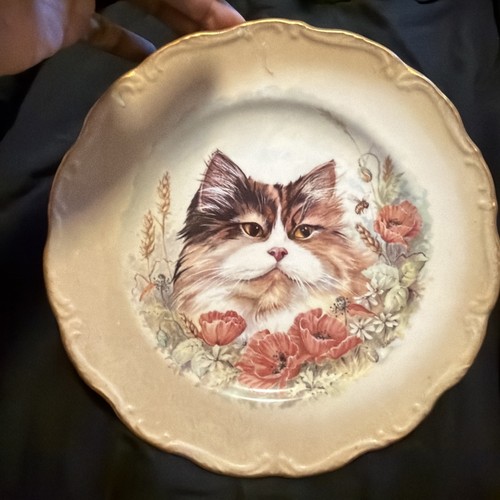 Royal vale bone china cat - royal,