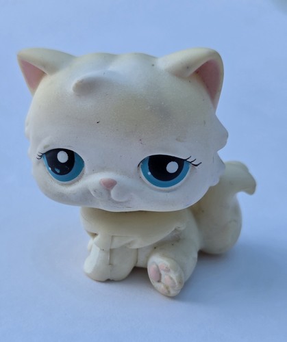 Persian cat authentic littlest - persian,