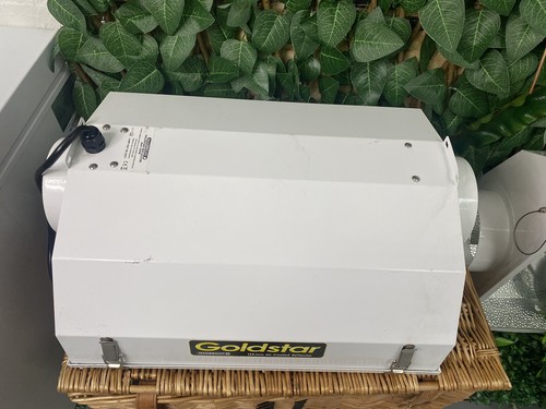 Maxibright goldstar 5 - goldstar,