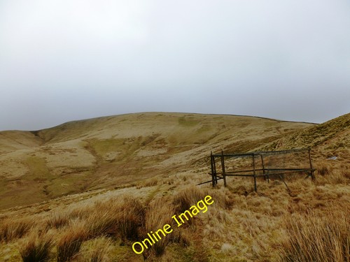 Photo 12x8 larsen trap below - trap,