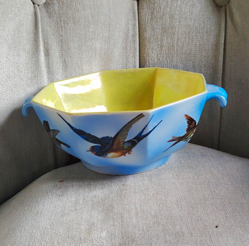 Kent fenton blue - yellow, bird
