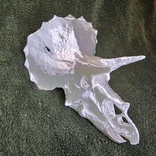 Triceratops Skull 3D-printed