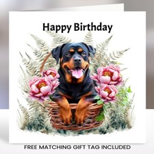 Rottweiler Birthday Card with