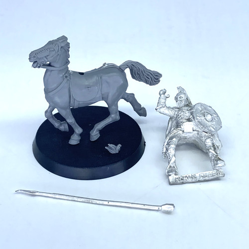 Rohan royal guard - guard,