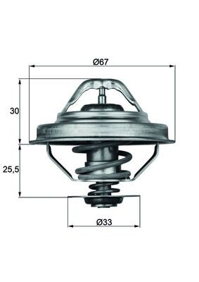 Mahle 88d thermostat - tx,