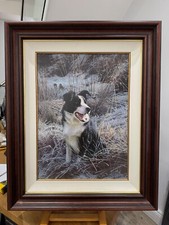 Steven Townsend - First Frost