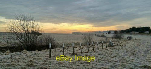 Photo 6x4 horse down - photo,