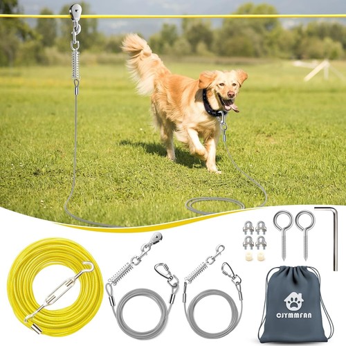 Professional dog runner - professional,
