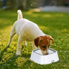 Dog Water Bowl Non Spill 2L