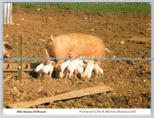 D316072 Milk Shakes All Round. M. Marchant. Martinstowl W. I. Dorset Federation