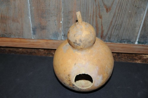 Primitive bird house gourd - primitive,