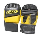 MMA Boxing Martial Arts