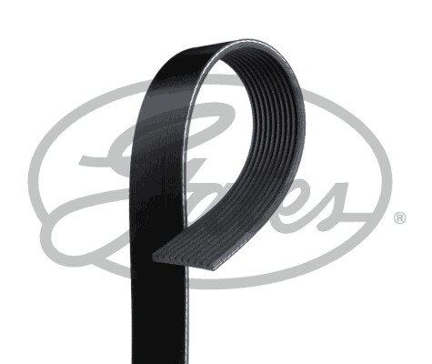 Gates gat10pk1715hd ribbed - gates,