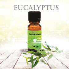 Eucalyptus Essential Oil 10ml - 100% Pure - For Aromatherapy & Home Fragrance