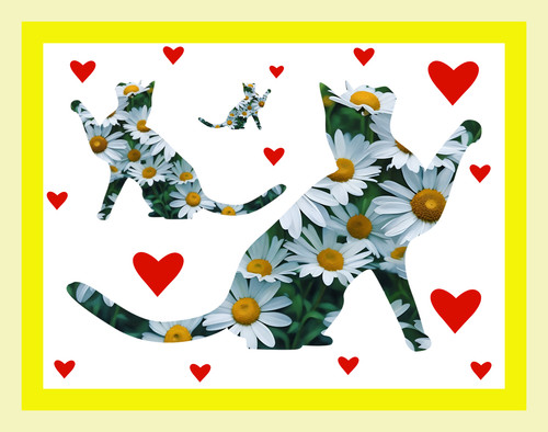 Cat kitten greeting - kitten,