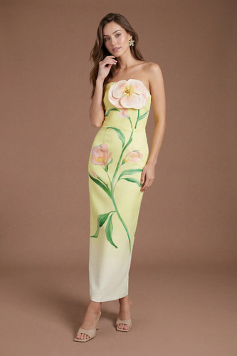 Coast pencil dress - coast,