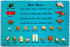 Postcard - Shell Names