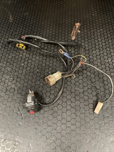 Ktm 2007 wiring loom - wiring,
