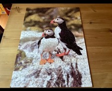 Wentworth Wooden Jigsaw Puzzle 500 Pieces Puffins, Farne Island
