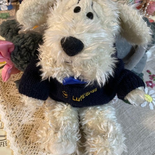 Russ miniature schnauzer - miniature,
