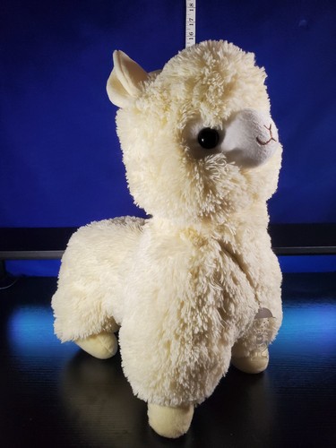 Amuse amufun alpacasso - amuse,