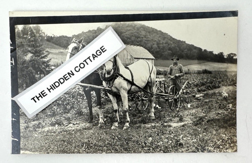 Vtg rppc horse drawn plow - rppc,