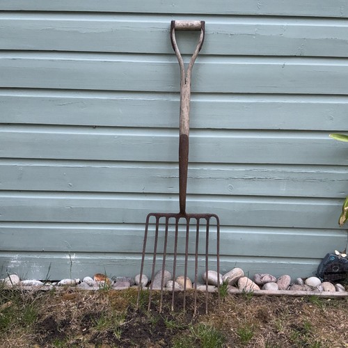 Vintage antique beet parsnip - antique,