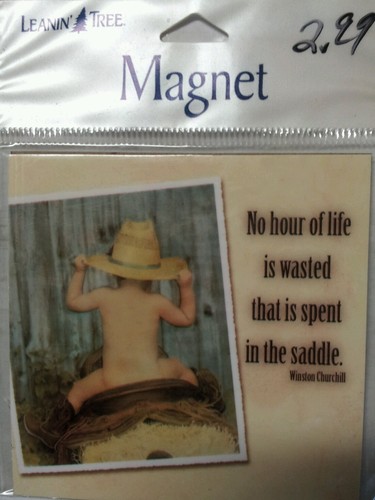 Leanin tree flex magnet - leanin,
