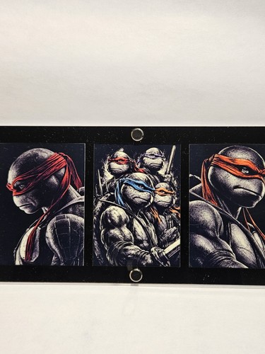 Ninja turtles glow the dark - turtles, in