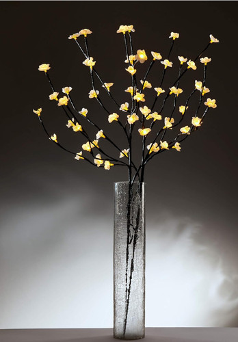 Cherry blossom twig branch - cherry,