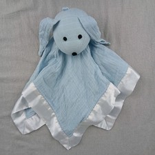 Aden And Anais Blue Muslin