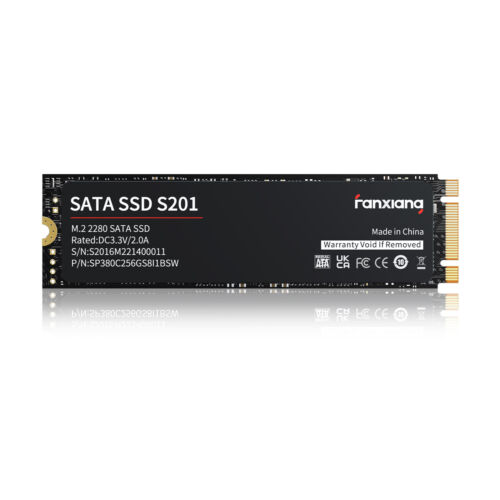 Fanxiang ssd 256gb - fanxiang, m.2