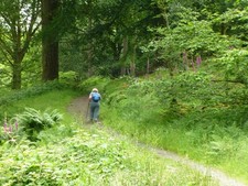 Photo A2 Path through